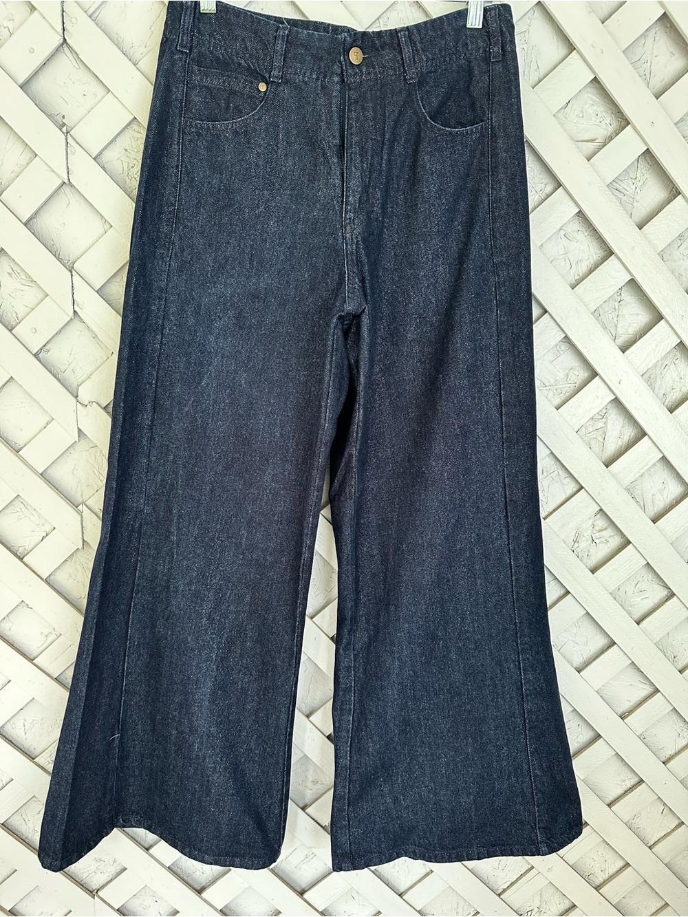 The Adi Mid-Rise Relaxed Flare Pants by Pilcro: Sparkle Edition size 28 - Picture 4 of 15
